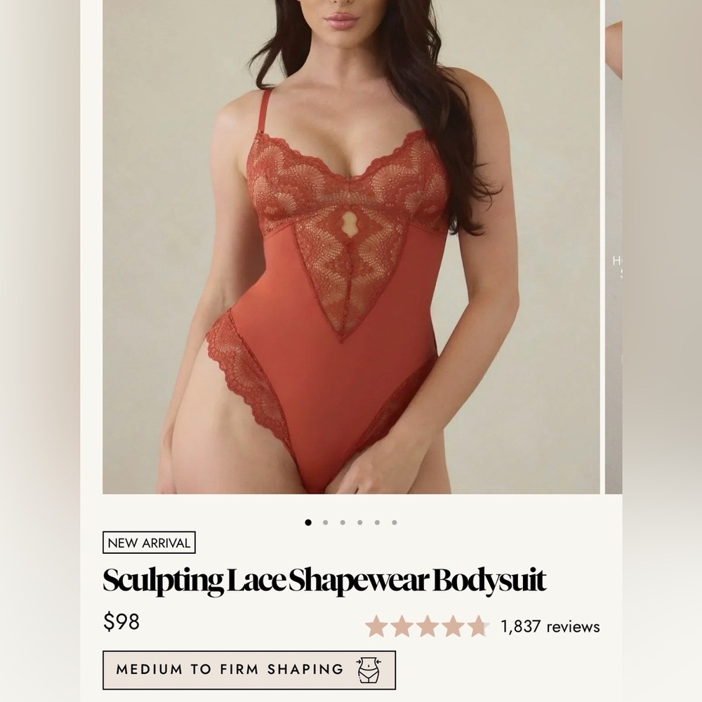 NWT Pinsy Sculpting Lace Shapewear Bodysuit in Terracotta
